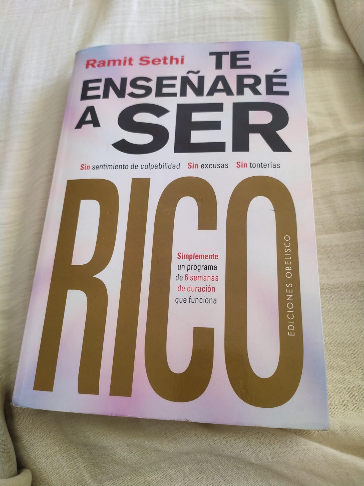 Portada de Te enseñaré a ser rico